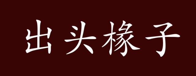 出头椽子的出处,释义,典故,近反义词及例句用法-成语知识