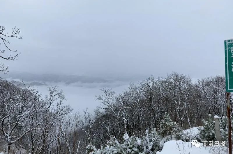 三月桃花雪一城柳絮风图片