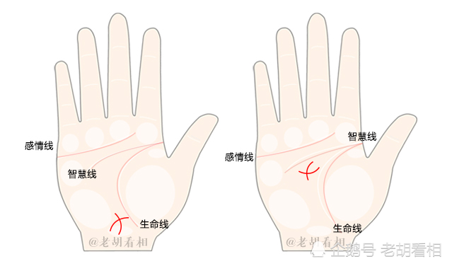 手纹看命 这个手纹一般人都没有 代表一生能福禄双全 腾讯新闻