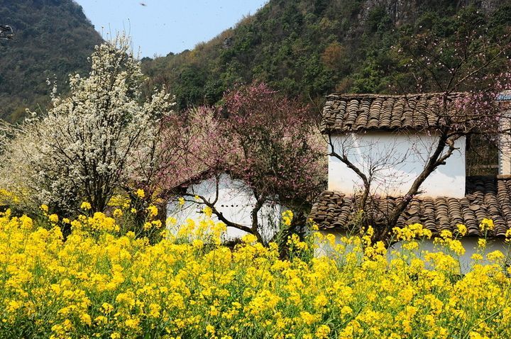 一首寻春的唐诗 写得别有意趣 让人一遍读 二遍看 三遍陶醉 腾讯新闻
