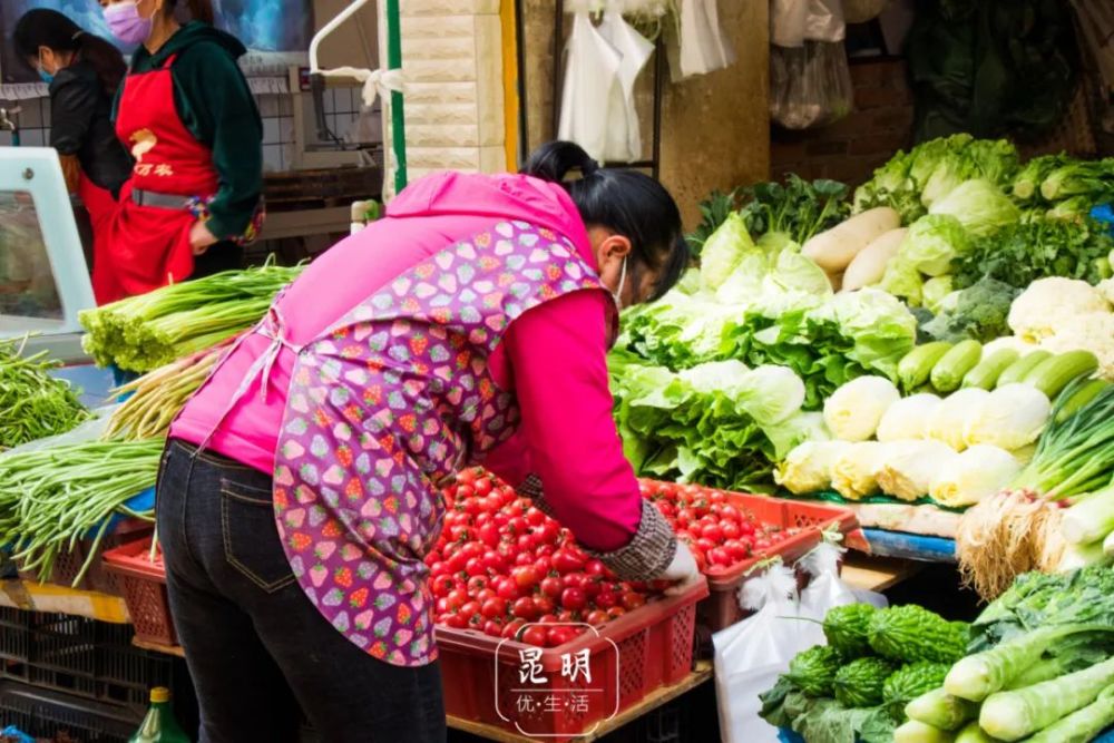 昆明人 原谅我春天放纵不羁爱野菜 腾讯新闻