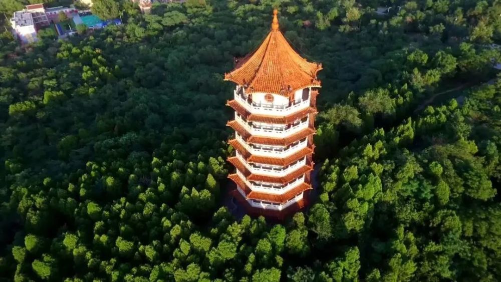 中国影像方志肥城千年文化滋养书院众多肥桃香甜味美牛山国家森林公园