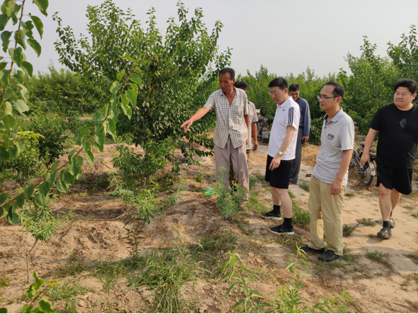 选派4名干部到菏泽巨野县董官屯镇3个村庄,淄博市高青县青城镇张巩田