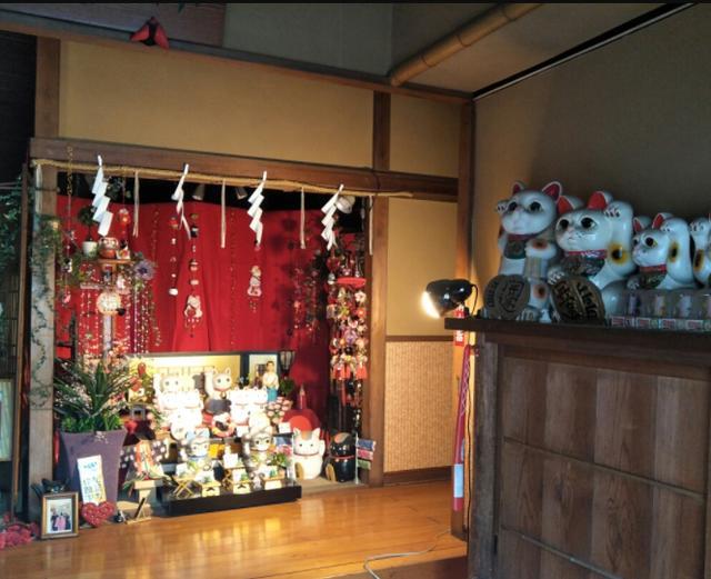 日本超灵验 猫神神社 成为世界猫奴圣地 游客 太治愈了 日本 猫奴 猫咪