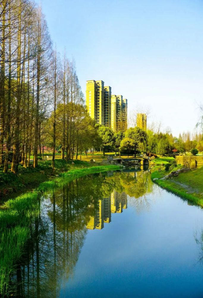 春天里我在华泾等你