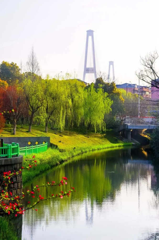 春天里我在华泾等你