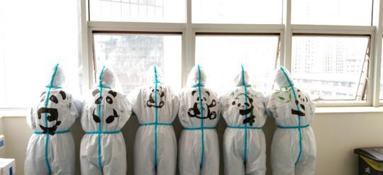 从"葫芦娃"到"熊猫天团" 他们已在武汉奋战54天