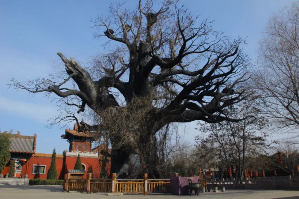 國家3a級旅遊景區:洪洞白石八路軍紀念館,襄汾光大工業旅遊園區,翼城