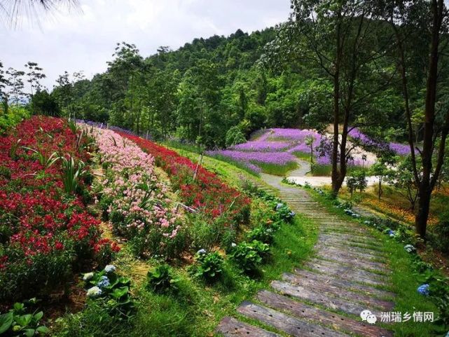 廣東瑞山生態旅遊度假村地處