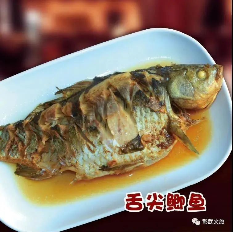 观候鸟迁徙,品"沙泉鱼宴",彰武等你来!