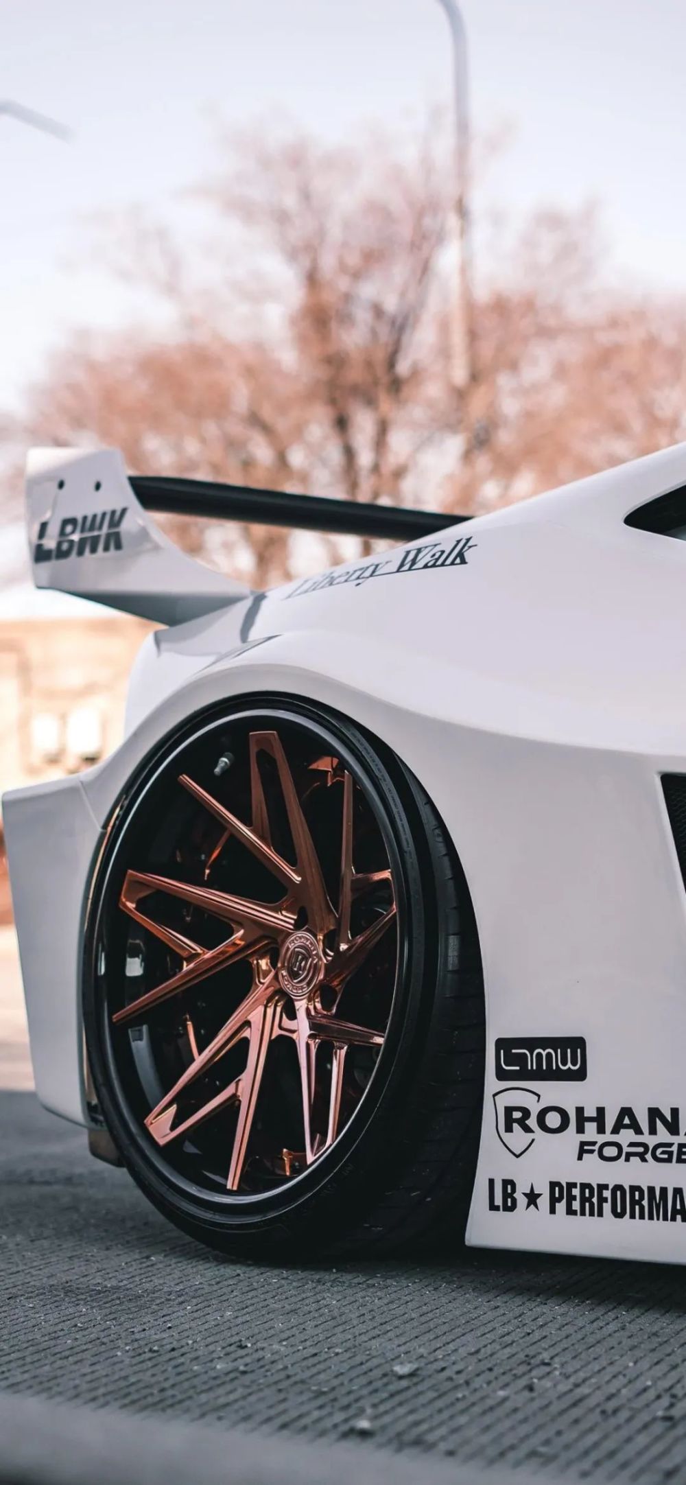 rasiml手机壁纸无水印