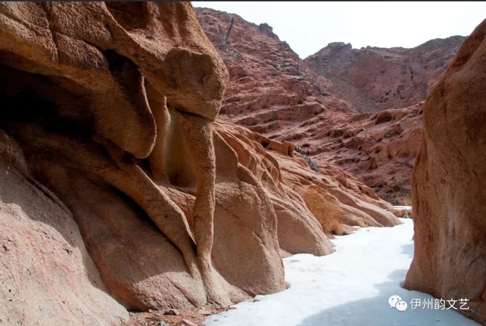 小编带你去逛哈密"野人谷"