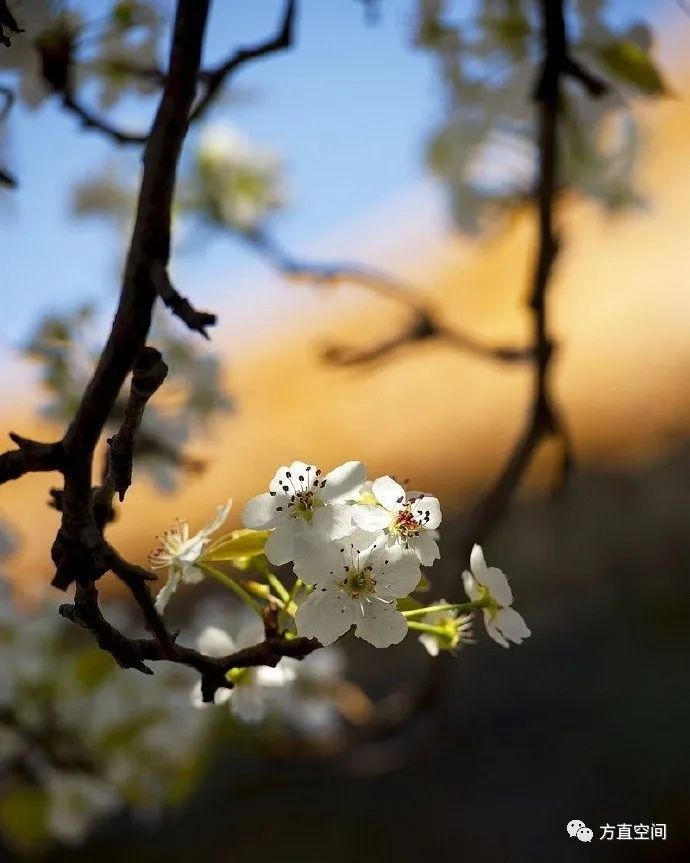 古人对春天的雅称,你知道多少呢?