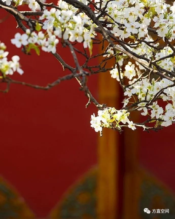 古人对春天的雅称,你知道多少呢?