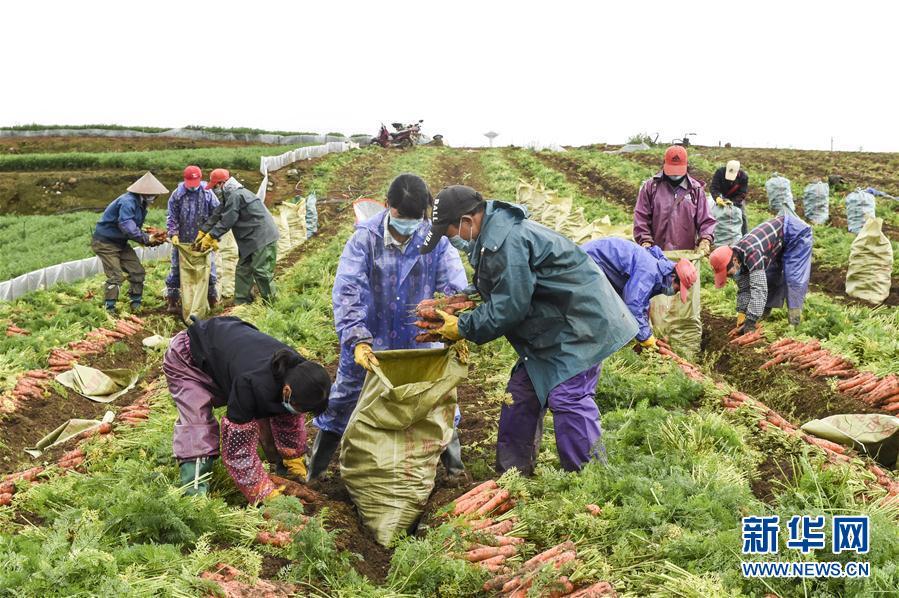 李小云:建党百年,给年轻人讲述中国扶贫的全球意义