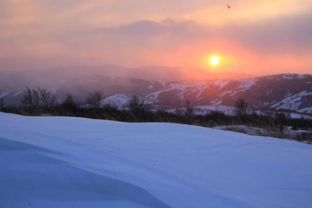 又雙叒叕下雪張家口一地這個冬天下了26場雪