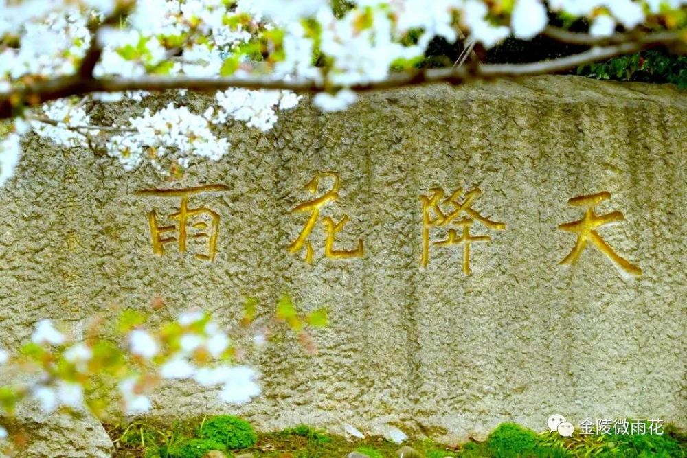 微风吹过,催动落英缤纷,宛若走入了"天降花雨,坠地成石"的意境.