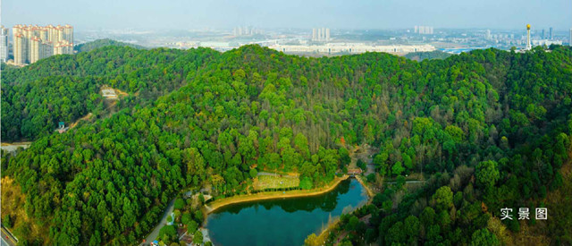 秀峰山公园实景图