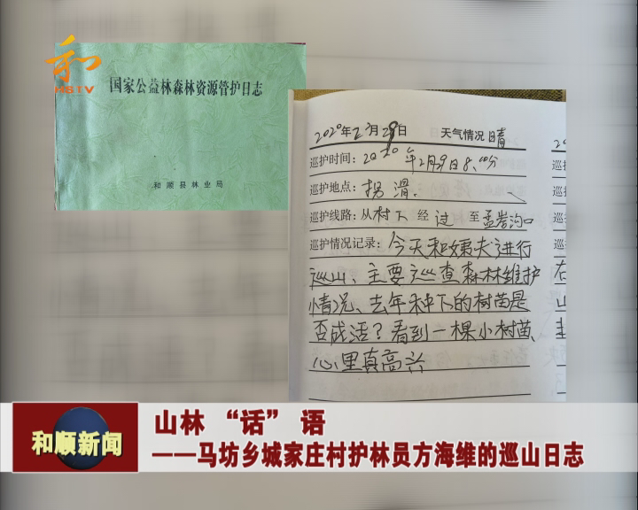 山林话语马坊乡城家庄村护林员方海维的巡山日志