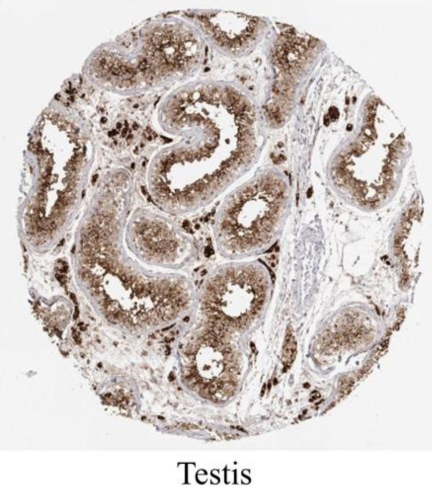 证据尚不足!_腾讯新闻