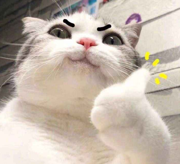 粉碎机排行榜_环保设备排名,移动树枝粉碎机位列其一,质量有保证