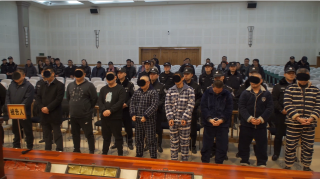 2017年4月以来,犯罪嫌疑人汤某军等人在当涂县,合肥市注册成立6家"