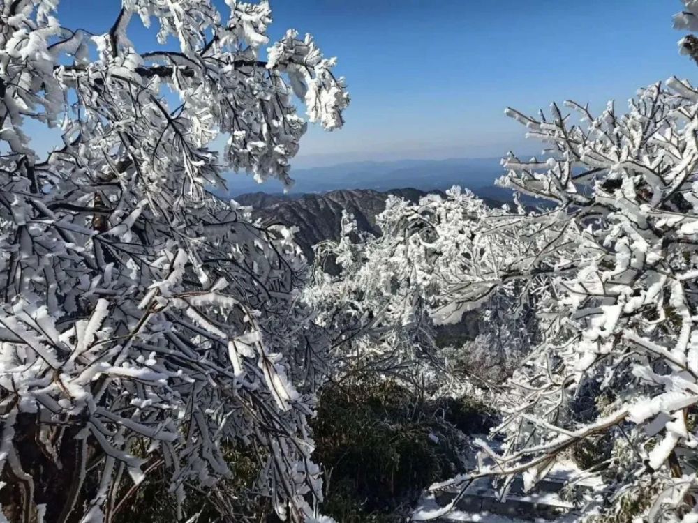 新化大熊山冬天图片