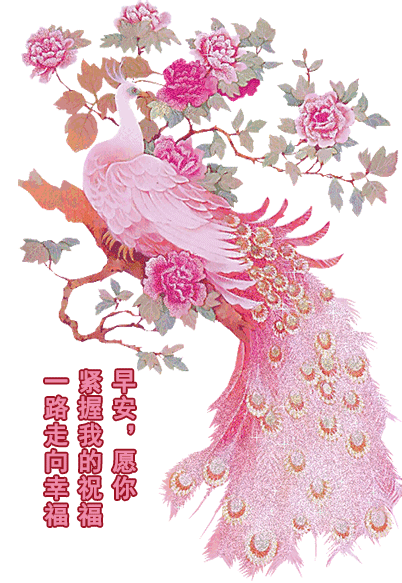 星期五早上好问候语动态图片鲜花带字温馨 早安祝福语动态图片 鲜花