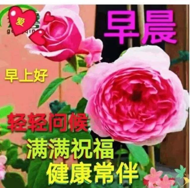 心存感恩,把愛與自信傳遞;讓這美好的一切匯成三個字:早上好!