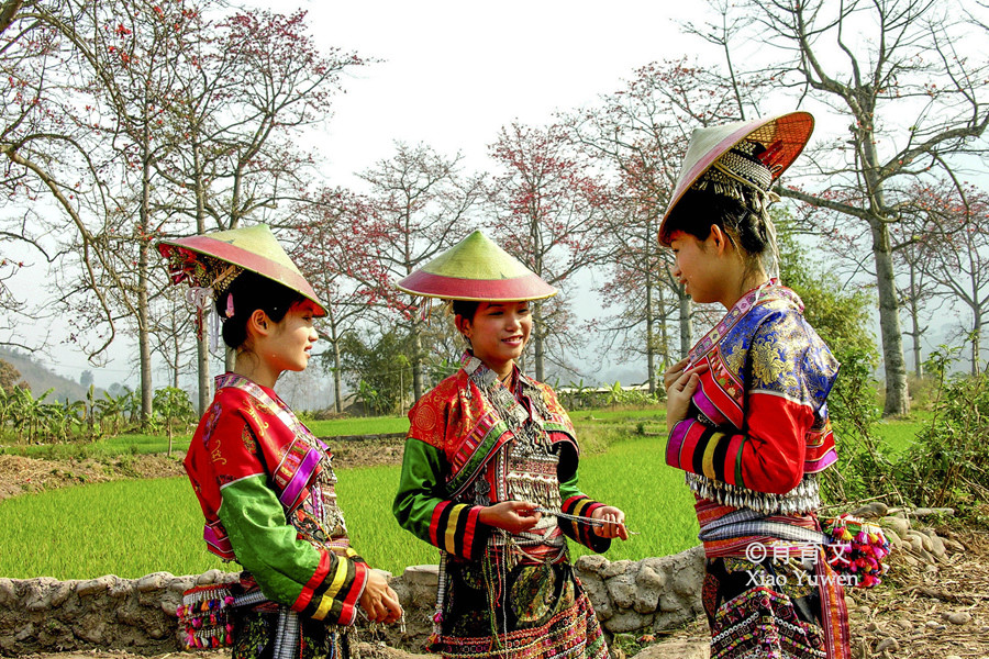 嘎洒花街节图片