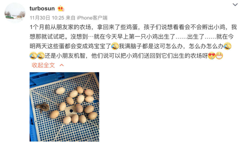 微博)孙俪没有劝阻,而是欣然同意,没想到,鸡蛋竟然真的顺利孵出了小鸡