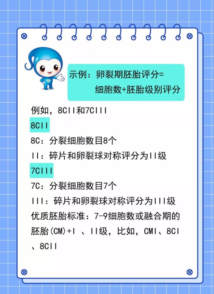 胚胎的等级如何划分?