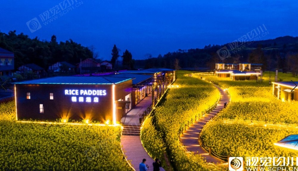 特别是一到周末稻田酒店成为当地的网红地,据酒店负责人介绍,等油菜花