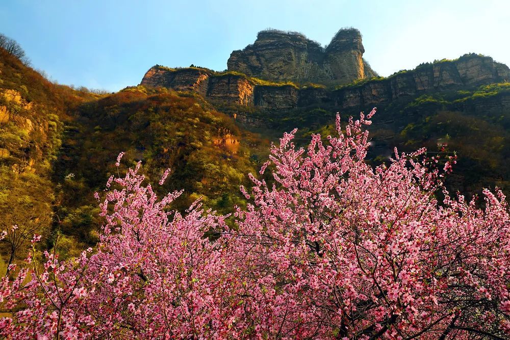 三月,走进桃花谷风景区,描绘一幅独具特色的初春画卷_腾讯新闻