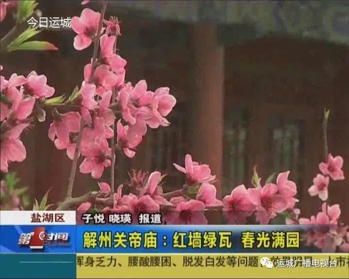 你知道春天里的关帝庙有多美吗 腾讯新闻