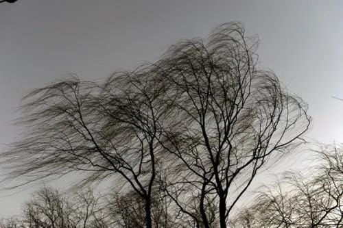 预警!7级风!好好的天为啥总刮大风?专家这样解释_腾讯新闻