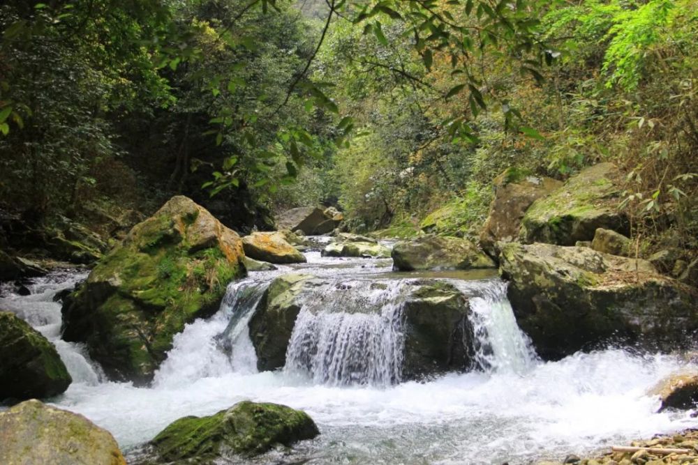 不负春光溪源峡谷旅游景区恢复对外开放