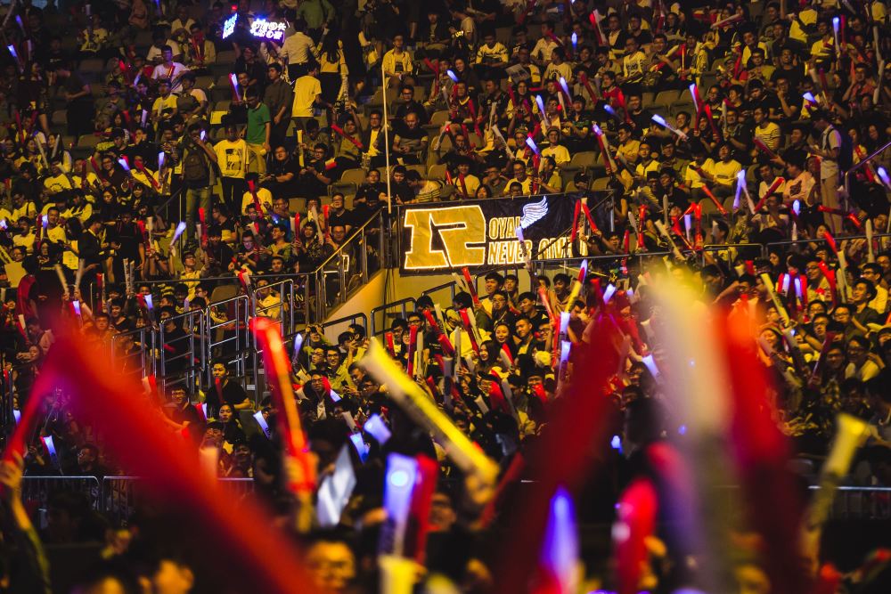 rng与edg上映宿命对决猪狗大战没有猪狗粉丝揭棺之战