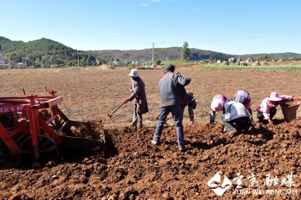 宣威市人口_第七次全国人口普查,宣威总人口(常住人口)为1189813人(2)