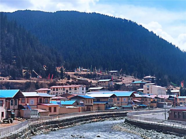 包座乡位于若尔盖县城东部,距县城85公里,82万亩森林遮天蔽日,连绵数