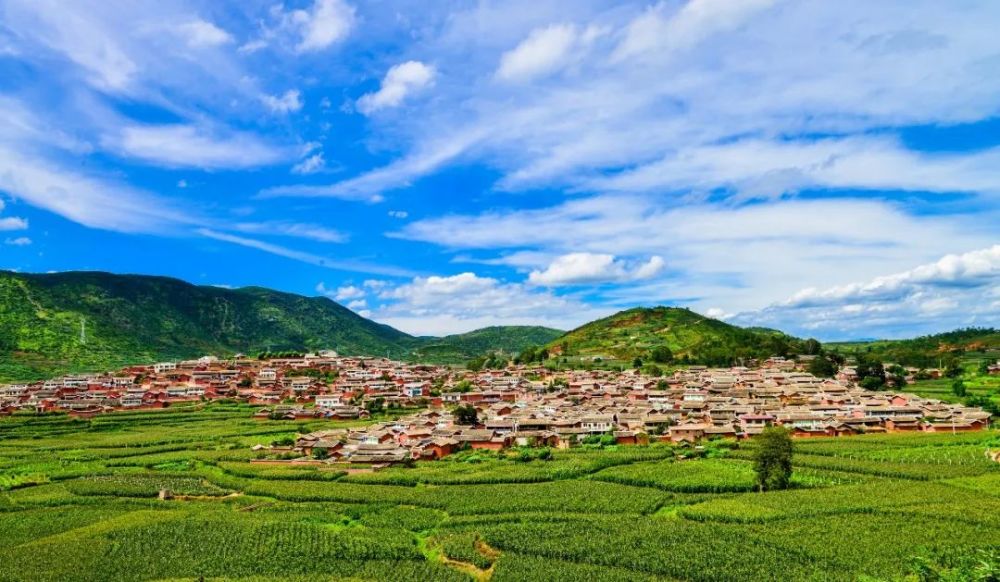 同德镇 除了甜瓜,咱们的"清凉伴侣"——同德西瓜也大量上市了.