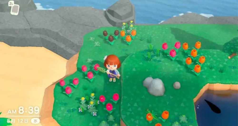 动物之森素材岛大全