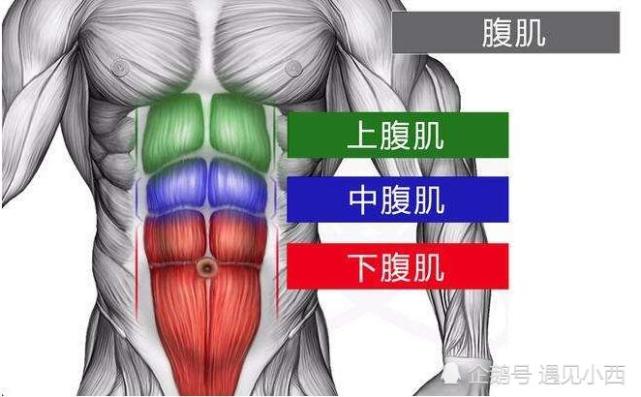 想要飽滿的六塊腹肌就要改變,3個進階動作,肌肉暴增,大神級別