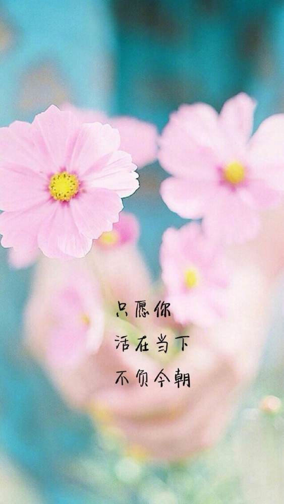 世间万物,有舍有得.若你等闲视之,自然宠辱不惊,笑看庭前花开花落