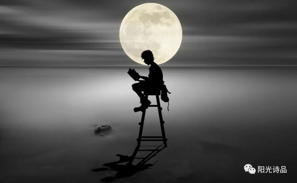 黑暗中透出的惊艳阳光诗品108期