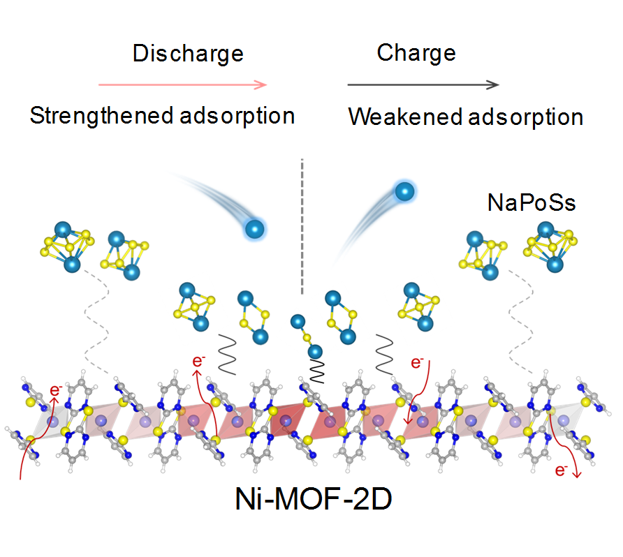 am基于新型二维mofs理解钠硫电池中的电子态限域效应