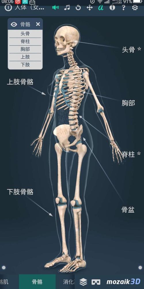 快速认识你身体各部位名称 再也不怕医生说什么你都听不懂 腾讯新闻