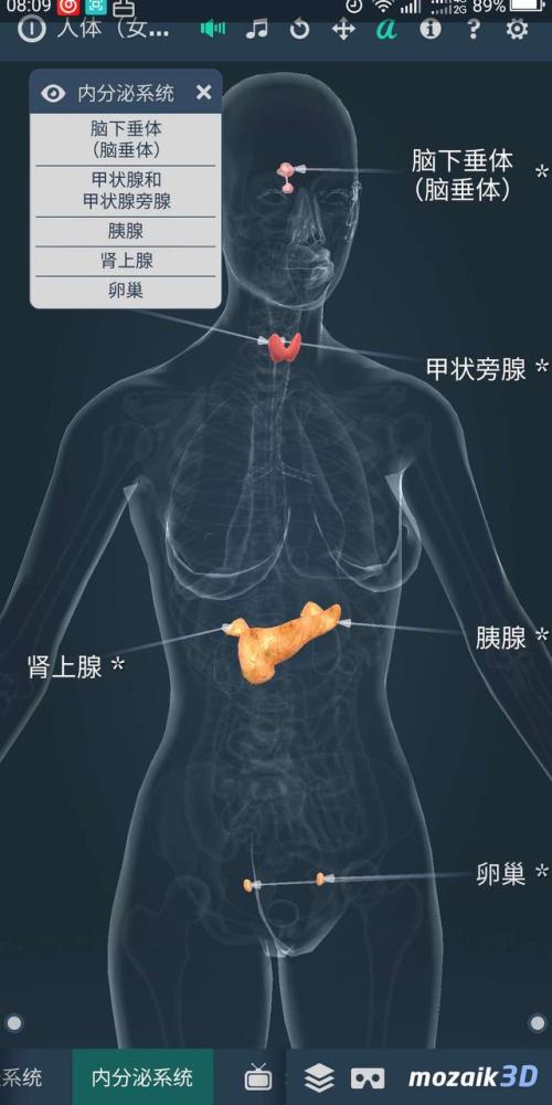 快速认识你身体各部位名称 再也不怕医生说什么你都听不懂 腾讯新闻