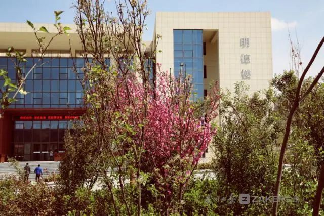 同盼当归,想你了甘肃中医药大学|甘肃中医药大学|校园