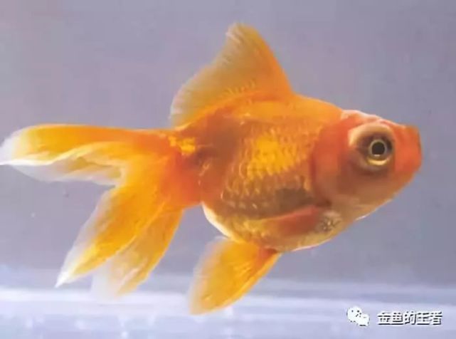 腾讯内容开放平台